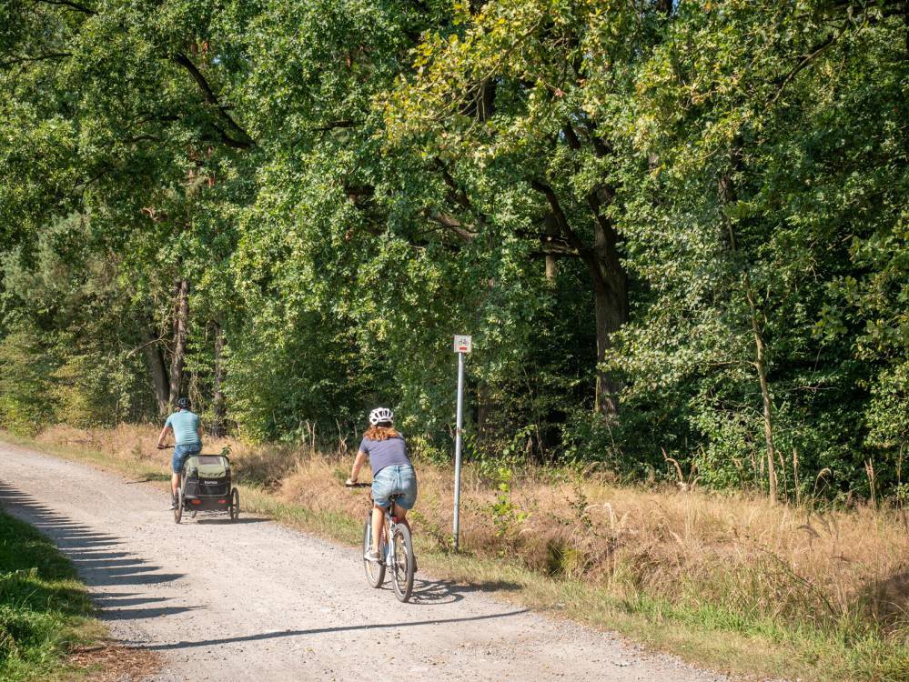 Czerwony szlak rowerowy nr 1: Katowice - Pszczyna