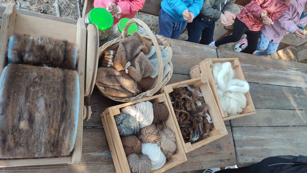 Zagroda edukacyjna ALPAQUERO,